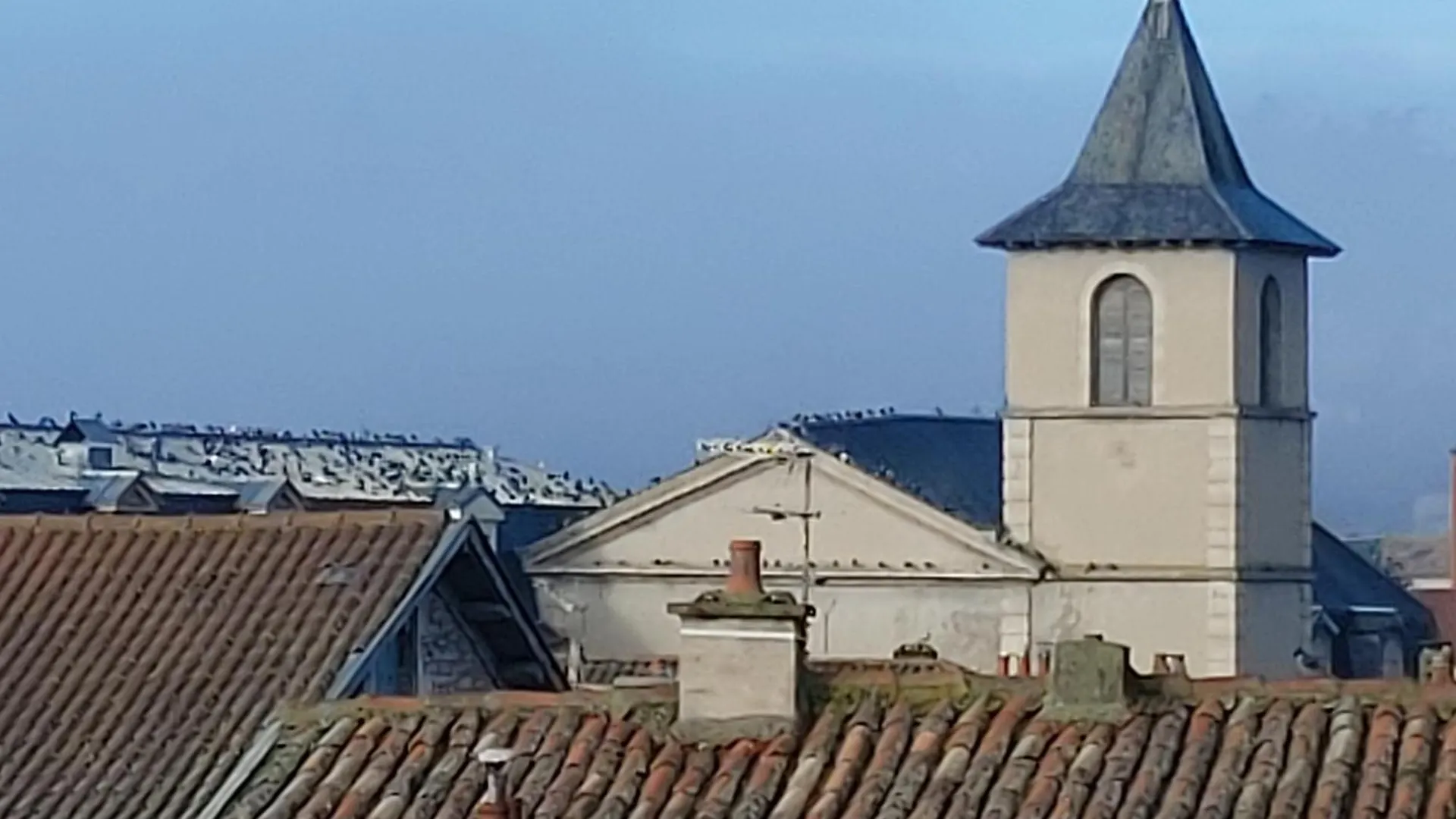 Le Saint-Georges Appartement Villefranche-de-Rouergue